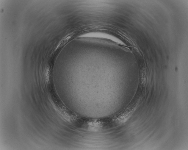 X0000087670216200705181713