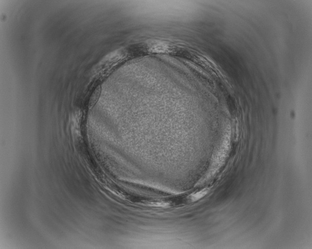 X0000087670217200705181713