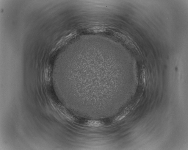 X0000087670218200705181713