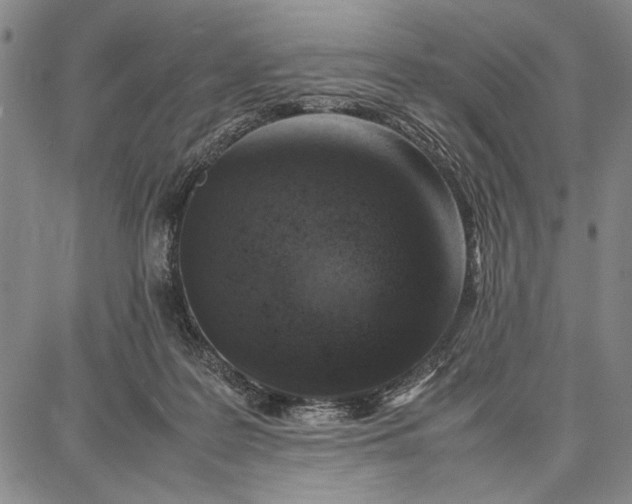 X0000087670219200705181713