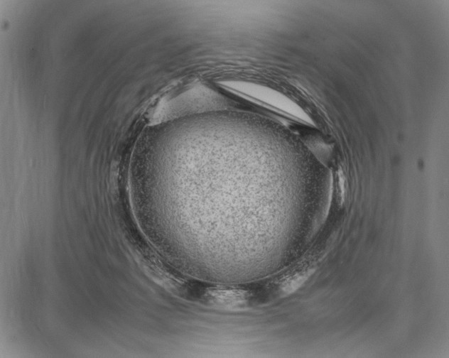 X0000087670221200705181713