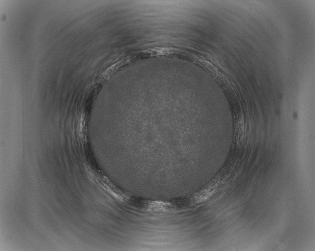 X0000087670222200705181713