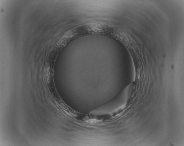 X0000087670223200705181713