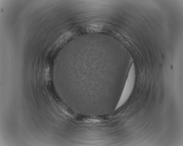 X0000087670224200705181713