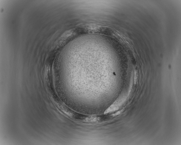 X0000087670225200705181713