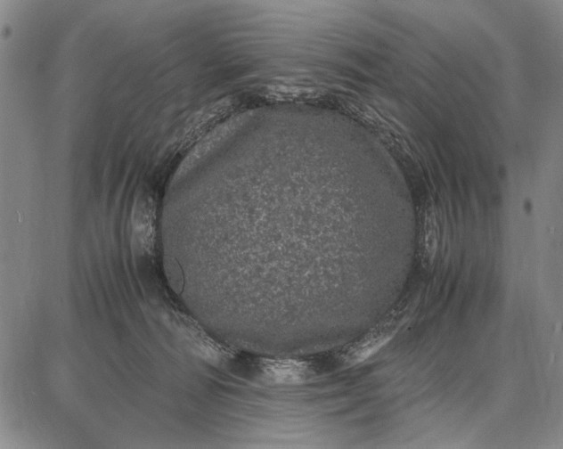 X0000087670226200705181712