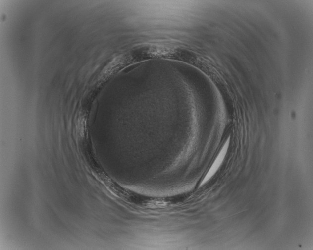 X0000087670227200705181712