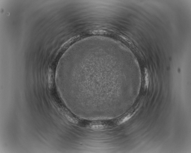 X0000087670228200705181712