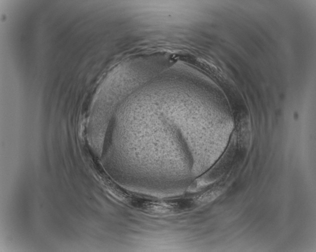 X0000087670229200705181712