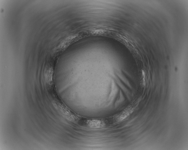 X0000087670230200705181712