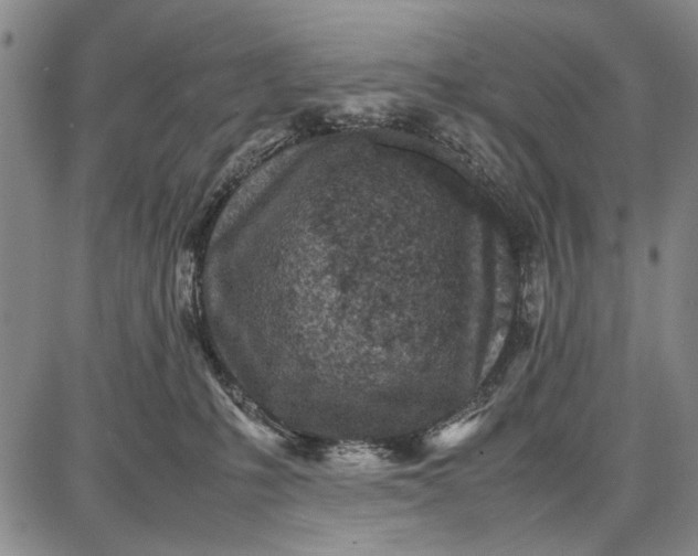 X0000087670231200705181712