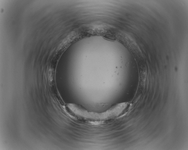 X0000087670232200705181712