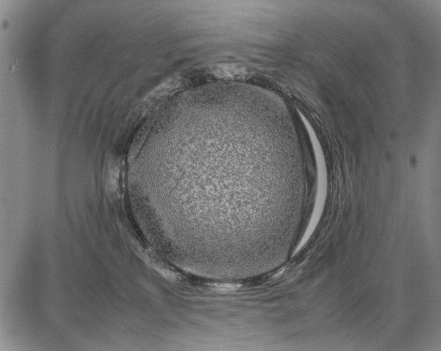 X0000087670233200705181712