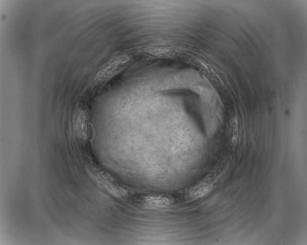 X0000087670234200705181712