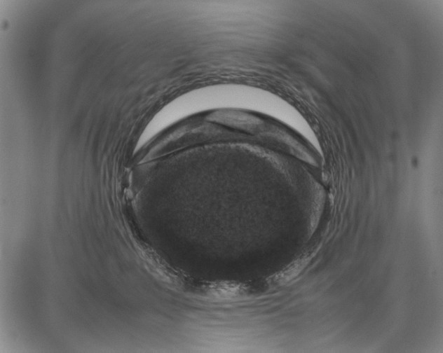 X0000087670235200705181712