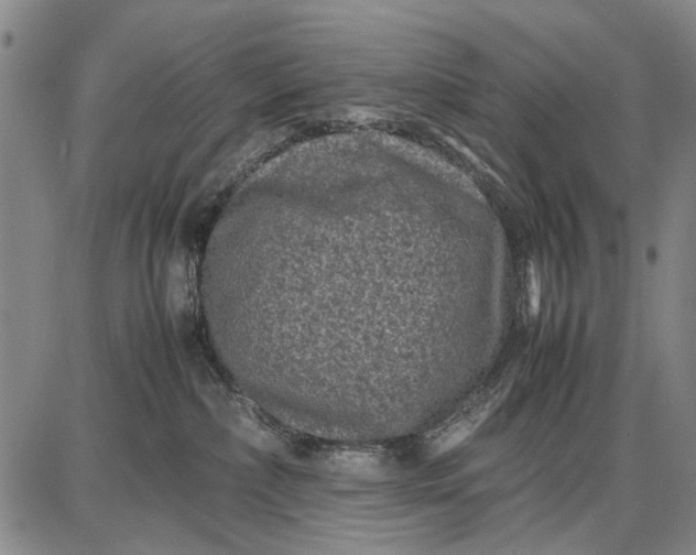 X0000087670236200705181712