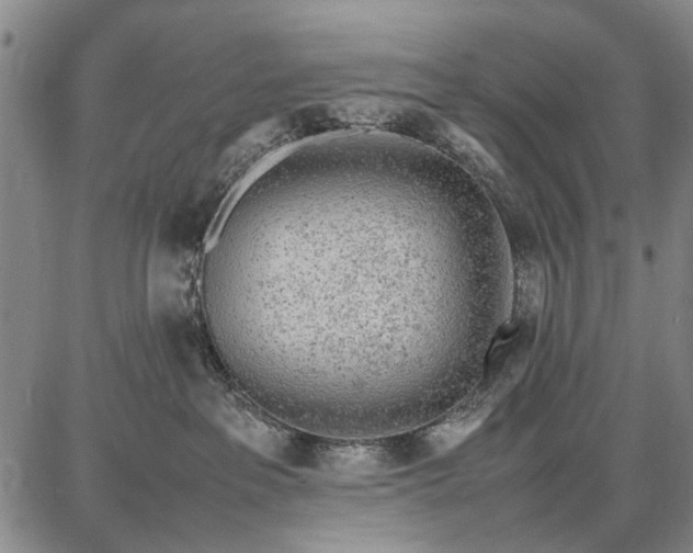 X0000087670237200705181712