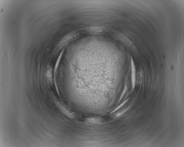 X0000087670238200705181712