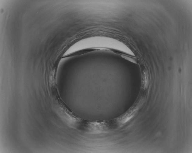 X0000087670239200705181712