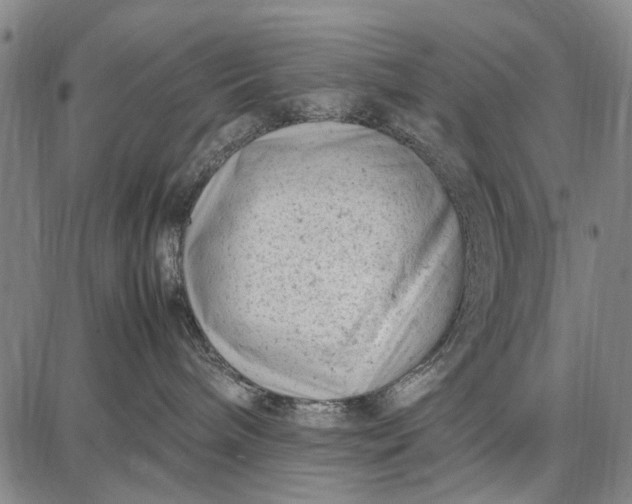 X0000087670240200705181712