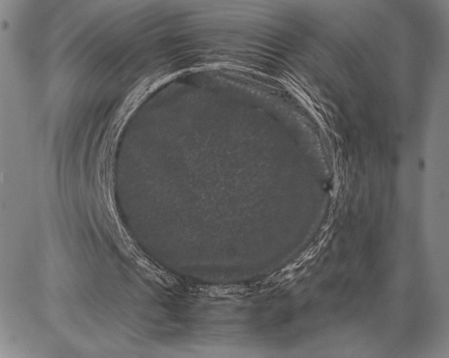 X0000087670241200705181711