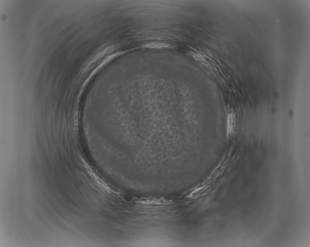 X0000087670243200705181712