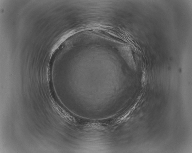 X0000087670244200705181712