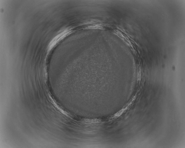 X0000087670245200705181712