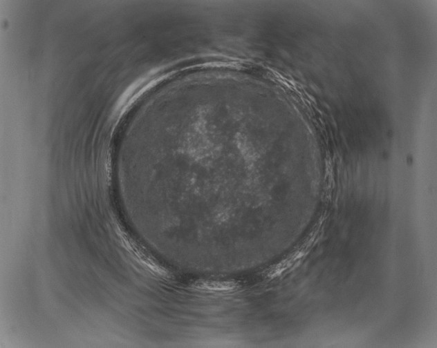 X0000087670247200705181712