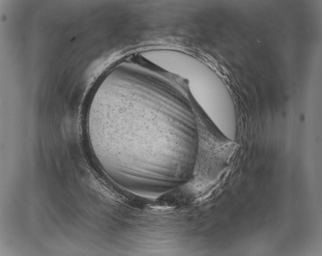 X0000087670248200705181712