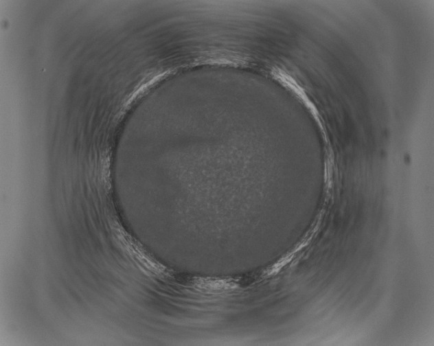 X0000087670249200705181712