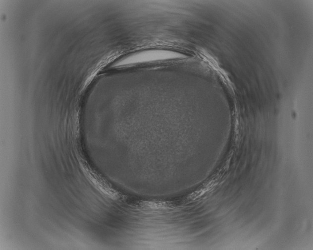 X0000087670250200705181712