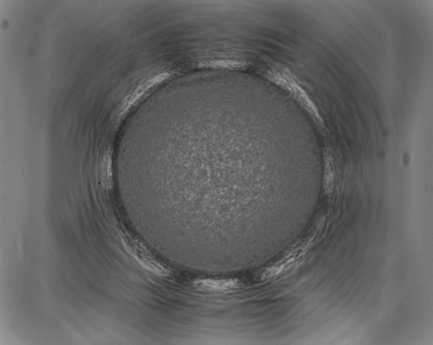 X0000087670251200705181712