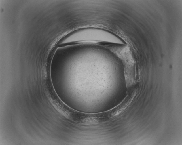 X0000087670252200705181712