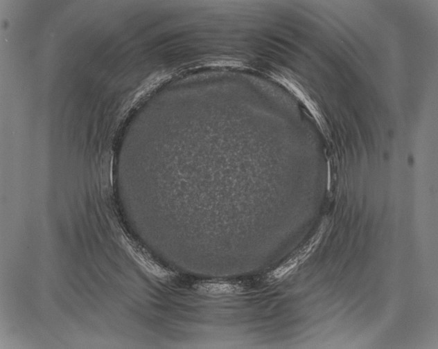 X0000087670253200705181712