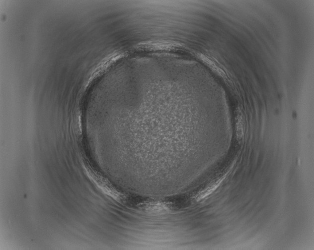 X0000087670254200705181712