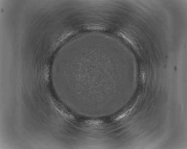 X0000087670255200705181712