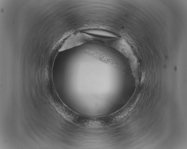 X0000087670256200705181712