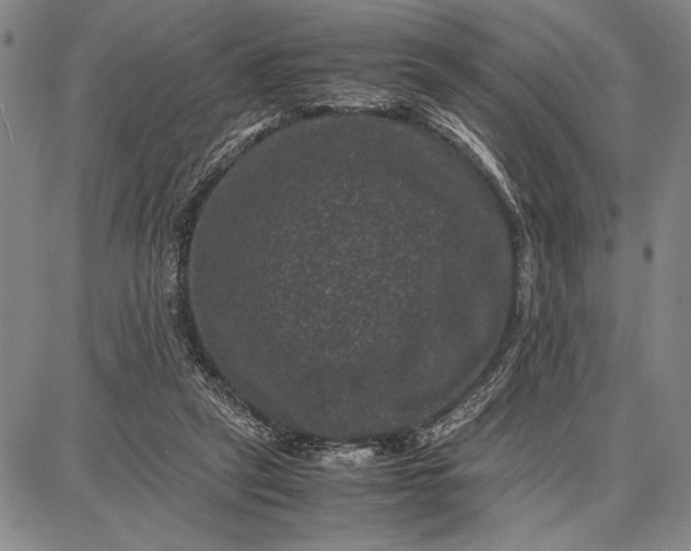 X0000087670257200705181712