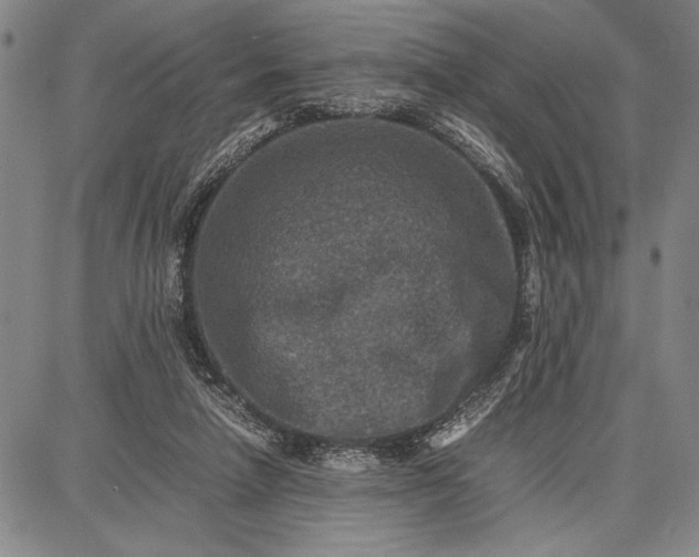 X0000087670258200705181712