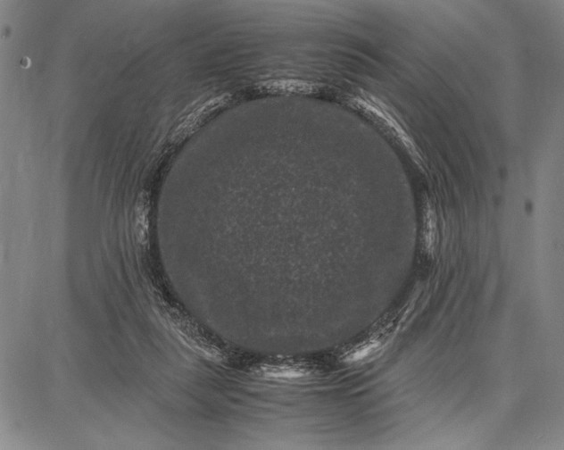 X0000087670259200705181712