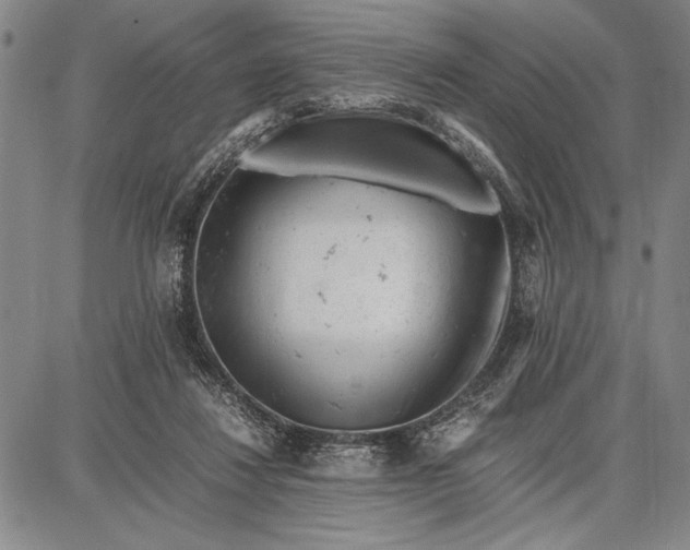 X0000087670260200705181712