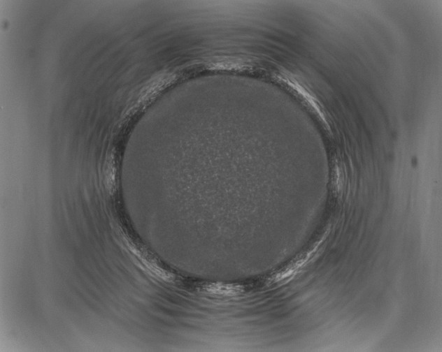 X0000087670261200705181712