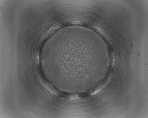 X0000087670262200705181712