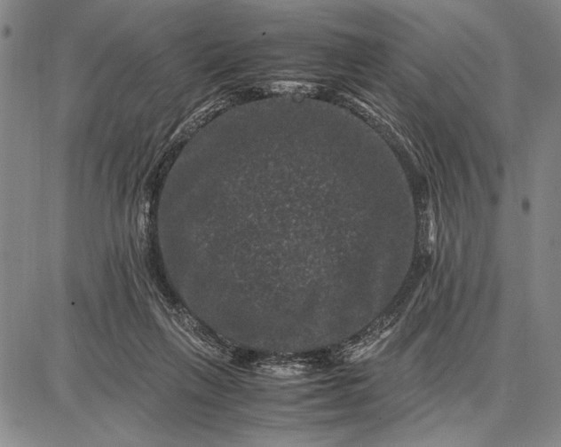 X0000087670263200705181712