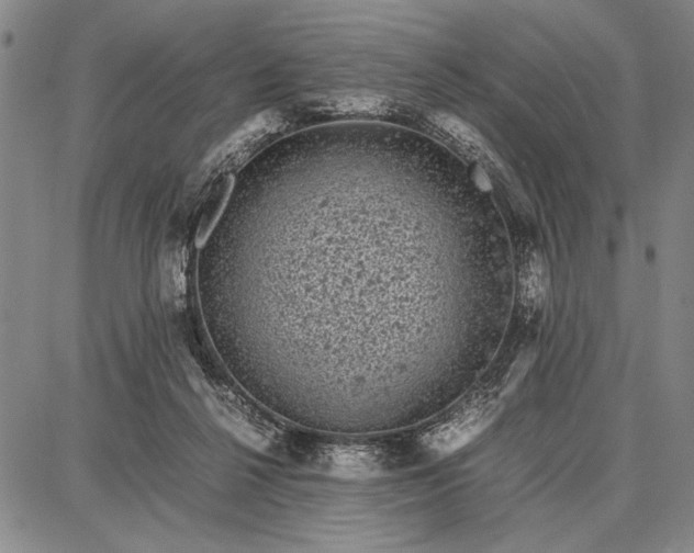 X0000087670264200705181712