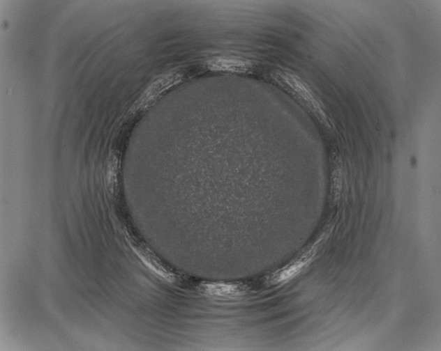 X0000087670265200705181712