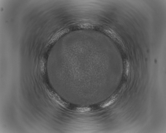 X0000087670266200705181712