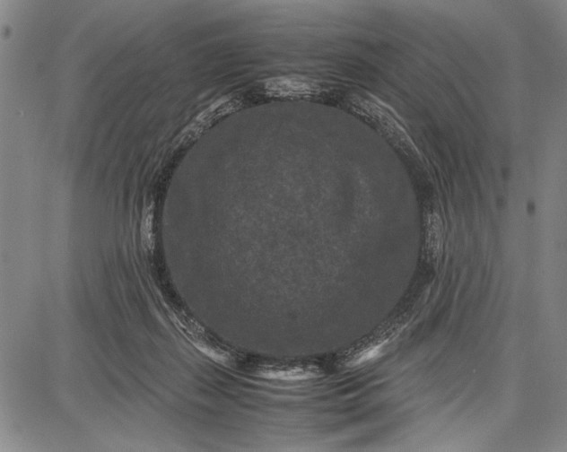 X0000087670267200705181712