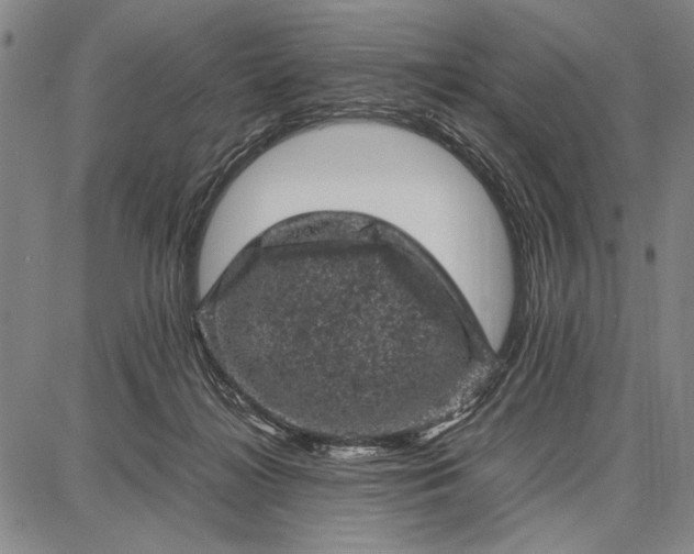 X0000087670268200705181712